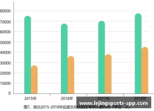 冰岛球员:统计、趋势与国际影响 冰岛球员:统计、趋势与国际影响